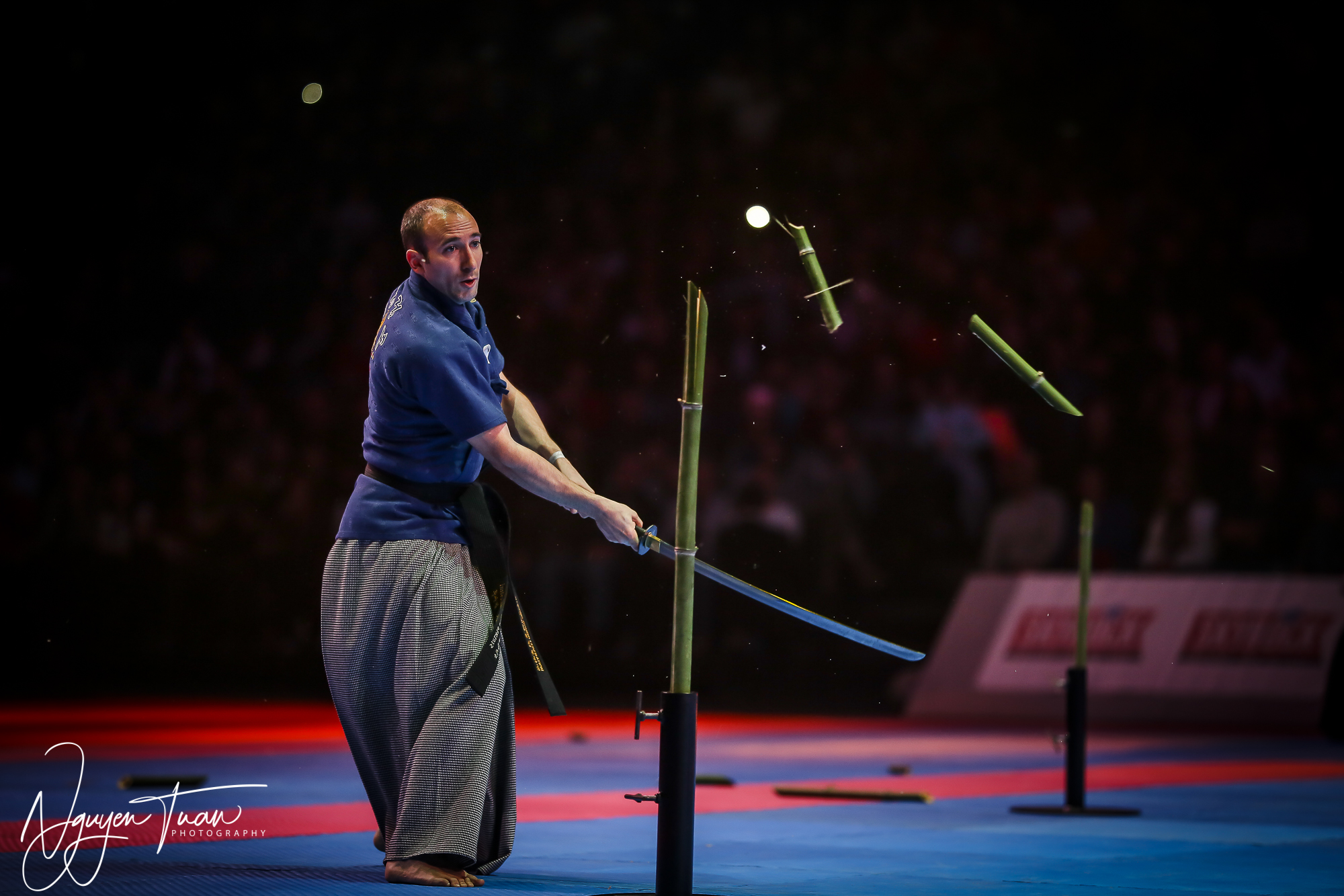 20190324 Festival des Arts Martiaux 3542